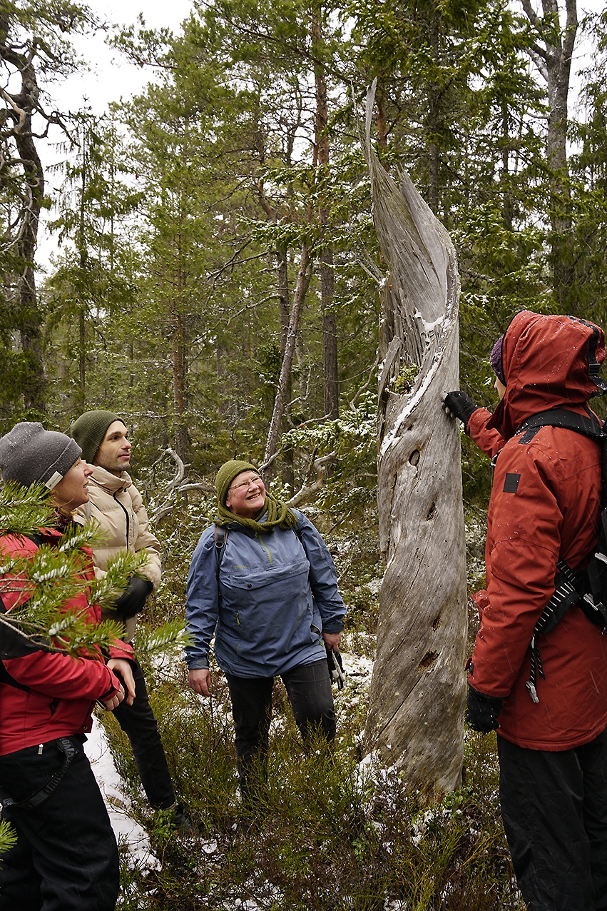 En grupp studerande i friluftskläder ute i skogen, Fotograf: Andy Horner